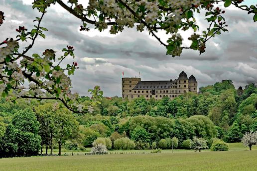 Mehr als 85.000 Besucherinnen und Besucher besuchten im vergangenen Jahr die Wewelsburg
